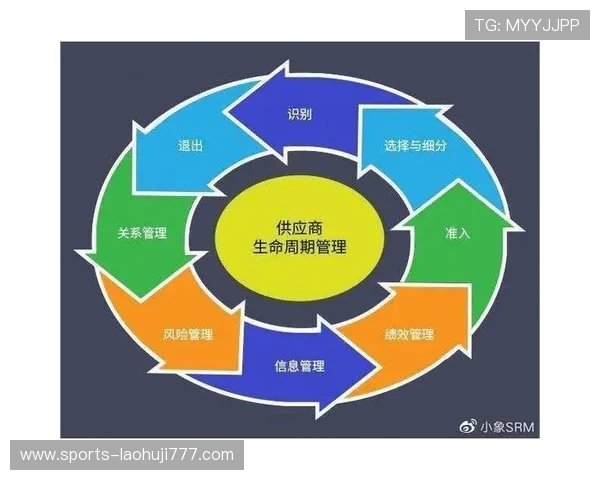 多宝电子的供应链管理优化策略及其对企业运营效率的提升
