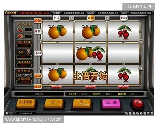 水果老虎机百家乐官网多种游戏玩法，满足不同玩家的娱乐需求与挑战欲望